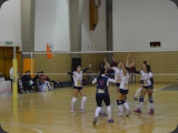 CSC_0195
