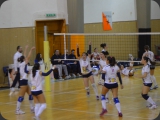CSC_0208